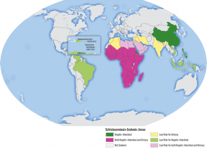 schistosomiasis