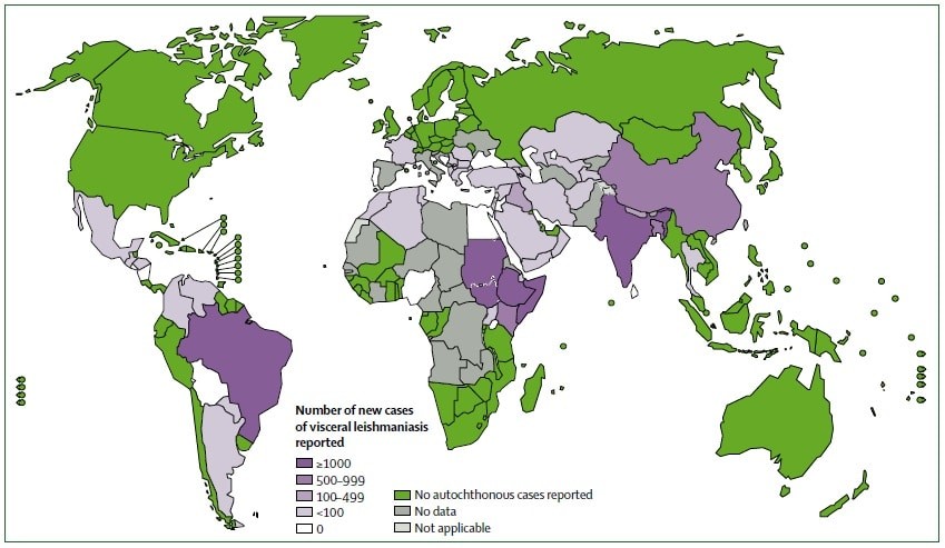 Leishmaniasis Leishmaniasis