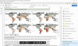 wereldkaart met prevalenyie
